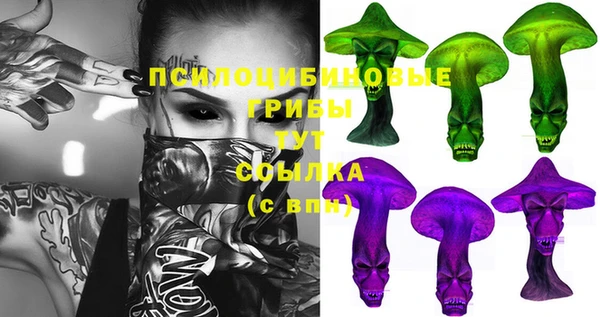 гидра Нея