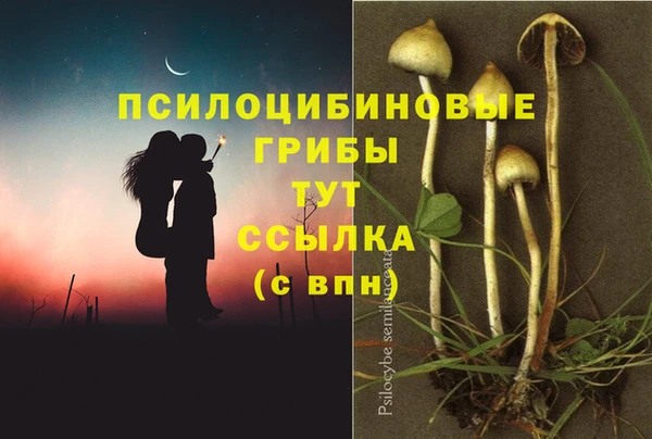 марихуана Нефтекумск
