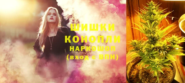 гидра Нея