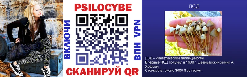 Псилоцибиновые грибы Psilocybine cubensis Иркутск