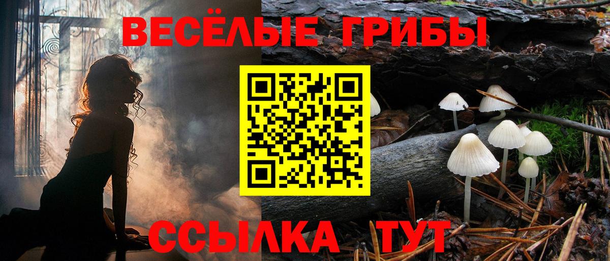 Псилоцибиновые грибы Psilocybine cubensis  Вход с VPN  Иркутск 